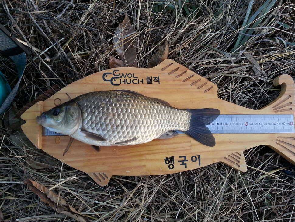 짬낚시에 (조황조행기 - 월척컵토종붕어챔피언십)