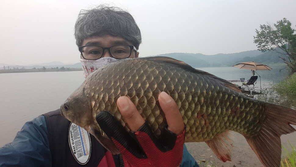 곽조사의 하루독조12조과 (조황조행기 - 월척컵토종붕어챔피언십)