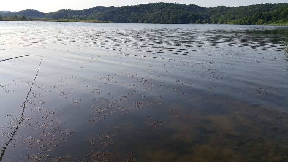 곽조사의 하루독조13조과 (조황조행기 - 월척컵토종붕어챔피언십)