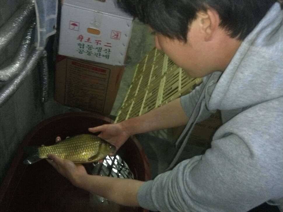 2호월척 (조황조행기 - 월척컵토종붕어챔피언십)