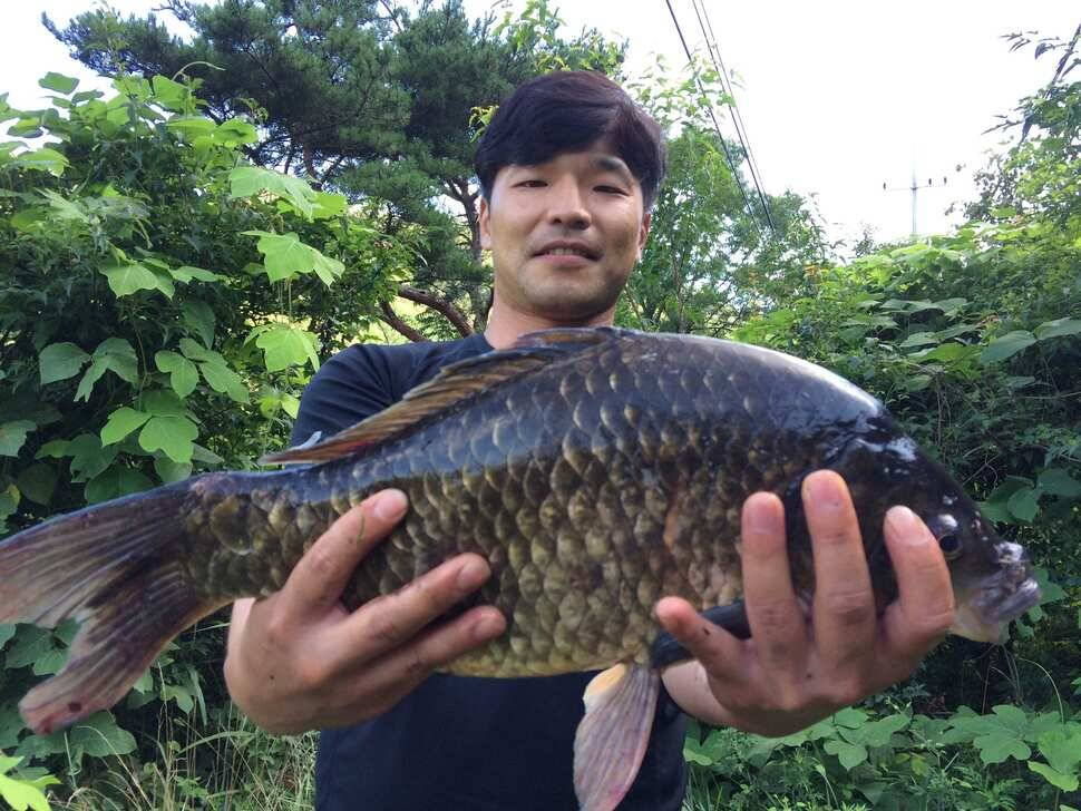 15년 첫 사짜 485 기록갱신입니다 (조황조행기 - 월척컵토종붕어챔피언십)