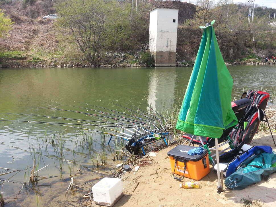 구미수로낚시 (조황조행기 - 월척컵토종붕어챔피언십)