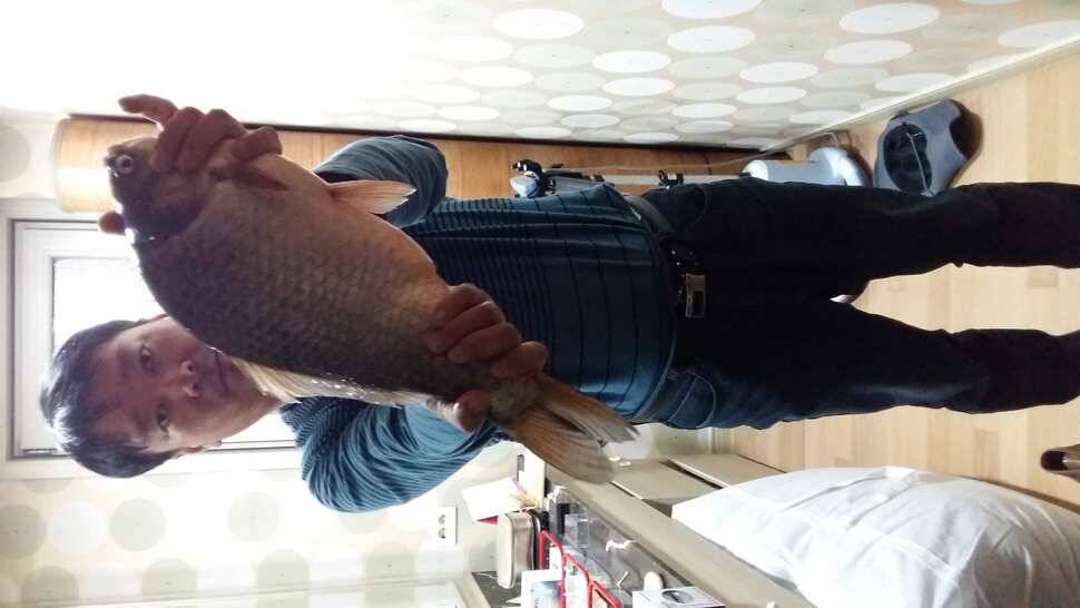 평택 길음3리 4자 붕어 (조황조행기 - 월척컵토종붕어챔피언십)