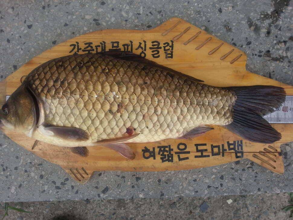 아담한 소류지 (조황조행기 - 월척컵토종붕어챔피언십)