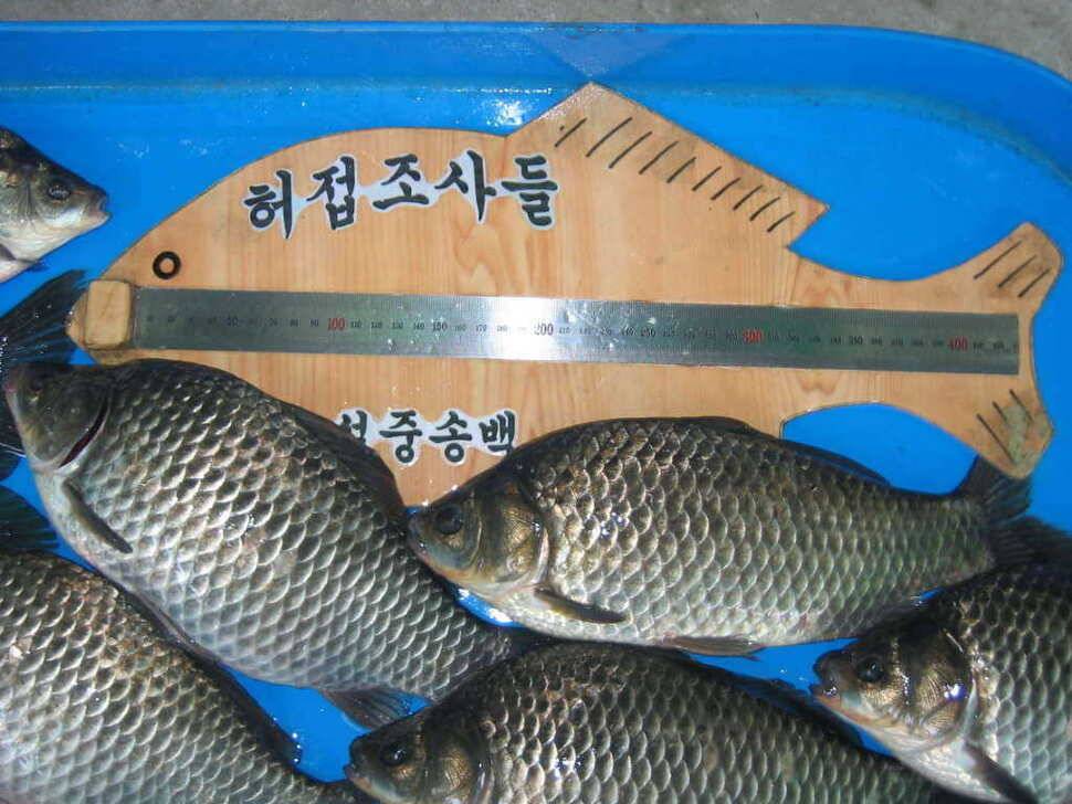2012년워리13호22호 대박 (조황조행기 - 월척컵토종붕어챔피언십)