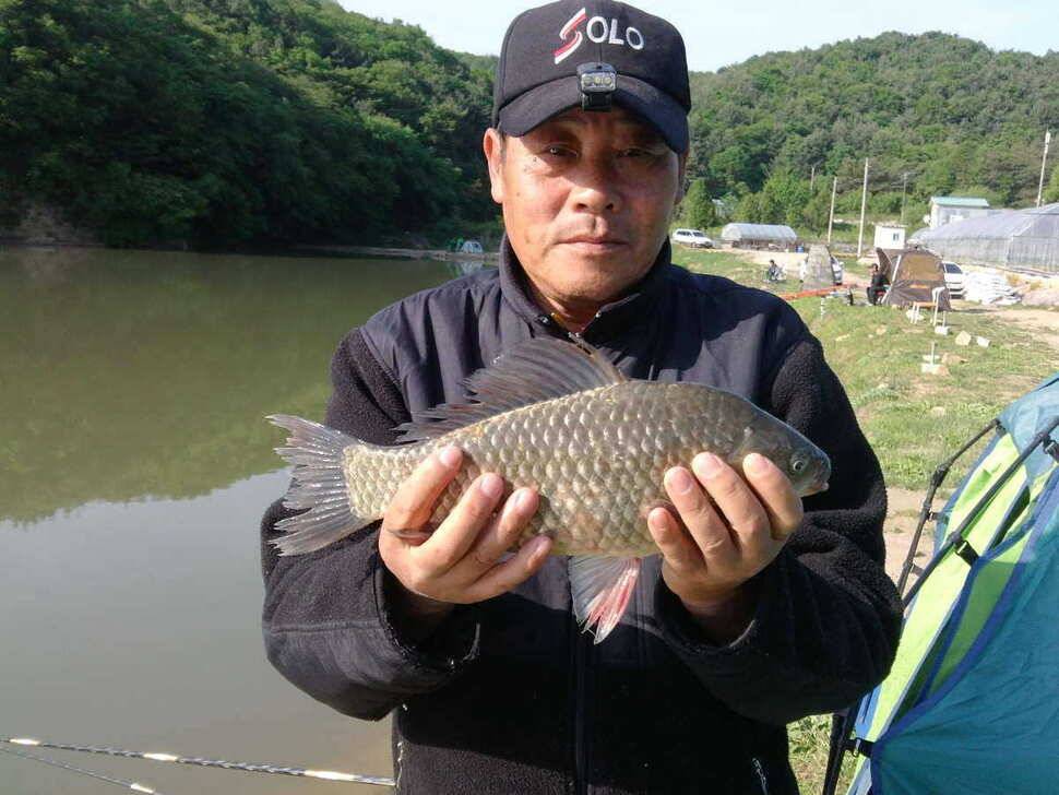 금요일일요일포천 용담지 2박3일 (조황조행기 - 월척컵토종붕어챔피언십)