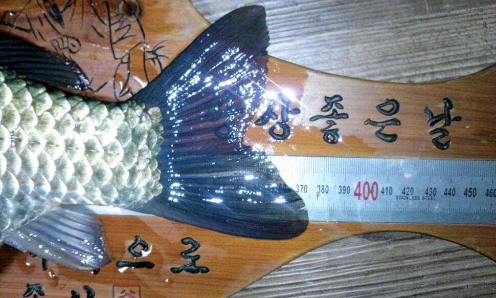 내칭구 모따리 입니다 친구야 반갑다 (조황조행기 - 월척컵토종붕어챔피언십)