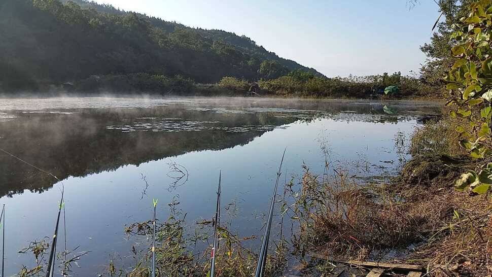 33센치 토종붕어 (조황조행기 - 월척컵토종붕어챔피언십)