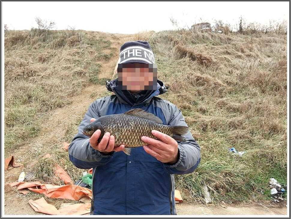 영하의 날씨에도 나오네요 이번에는 38cm (조황조행기 - 월척컵토종붕어챔피언십)