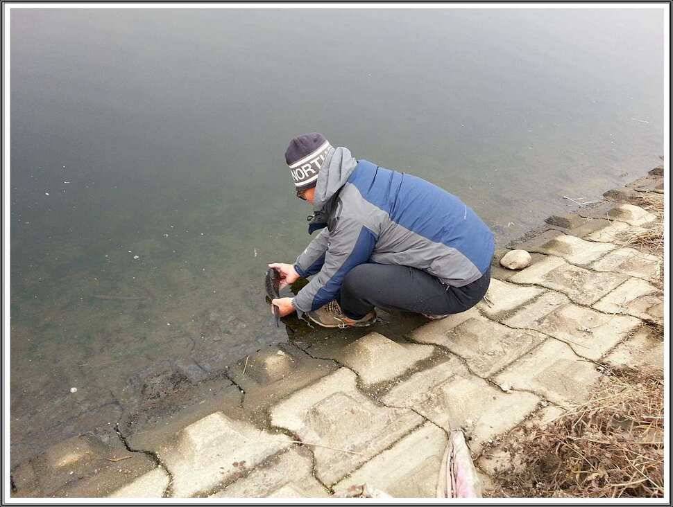 영하의 날씨에도 나오네요 이번에는 38cm (조황조행기 - 월척컵토종붕어챔피언십)