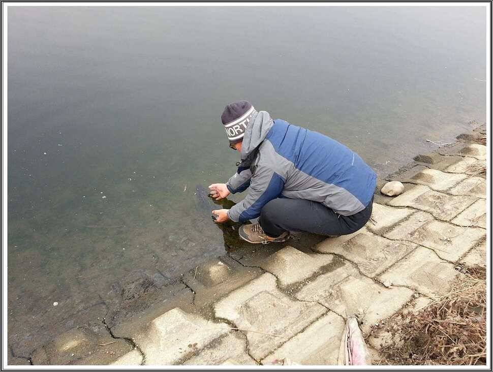 영하의 날씨에도 나오네요 이번에는 38cm (조황조행기 - 월척컵토종붕어챔피언십)