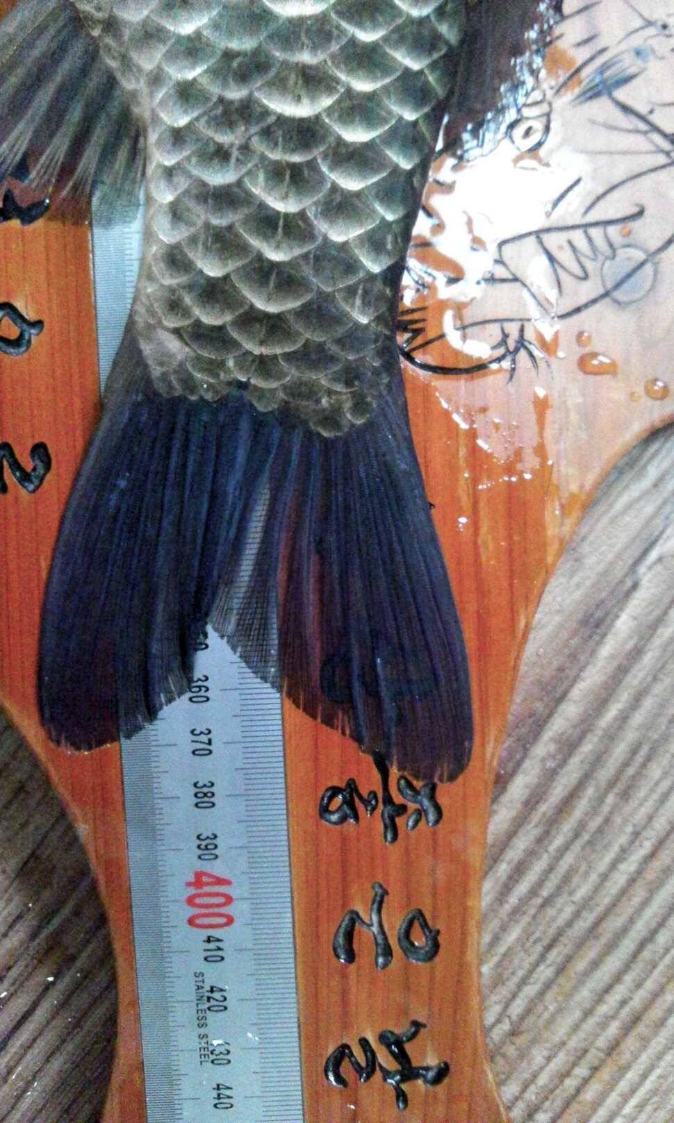 월척 (조황조행기 - 월척컵토종붕어챔피언십)