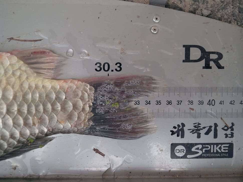 무더워 속의 짜릿함 (조황조행기 - 월척컵토종붕어챔피언십)