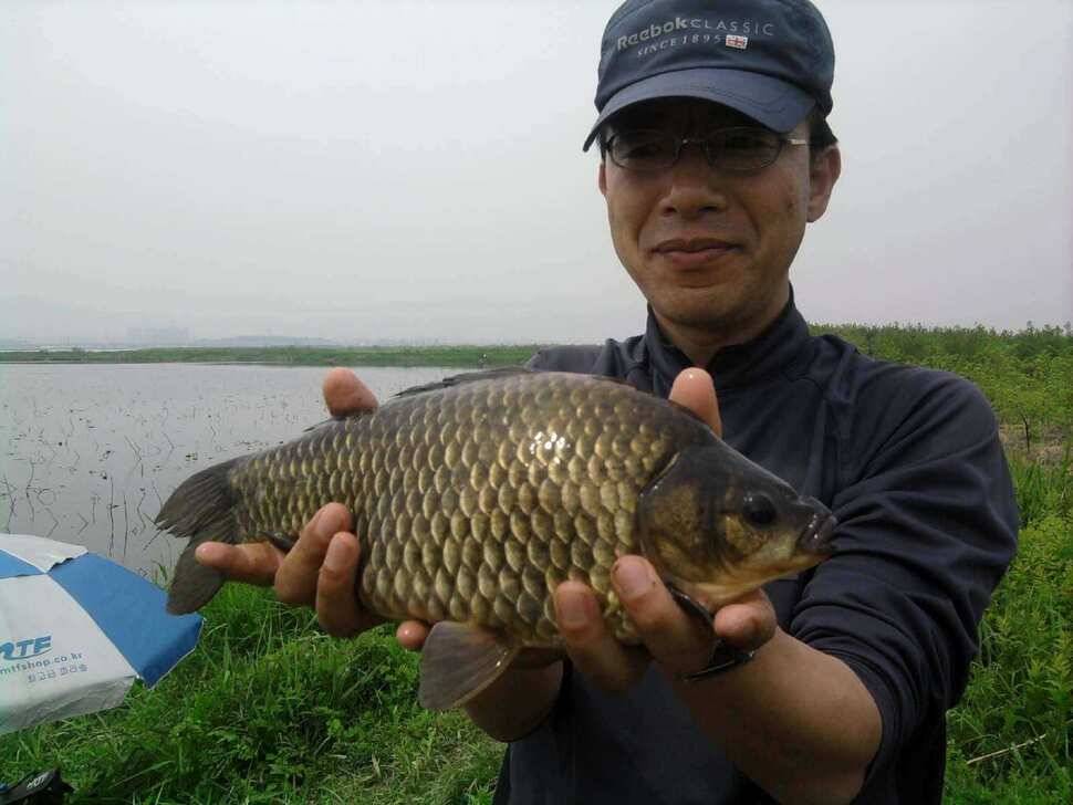 2011년 제3호 월척 (조황조행기 - 월척컵토종붕어챔피언십)