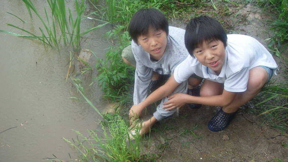 안암동님 올해3호월척 (조황조행기 - 월척컵토종붕어챔피언십)