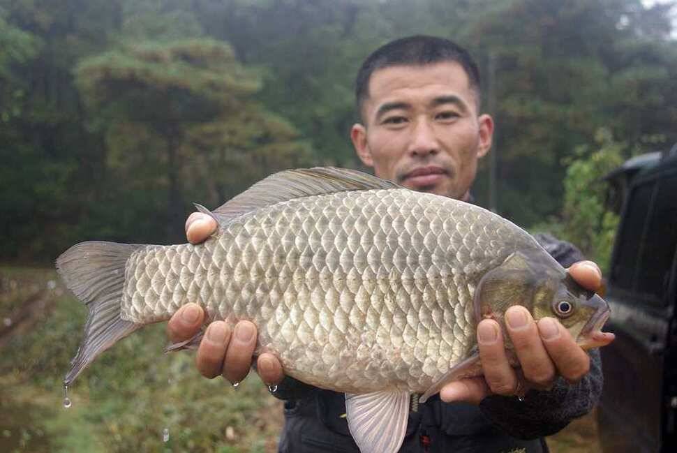 개인 기록갱신 (조황조행기 - 월척컵토종붕어챔피언십)