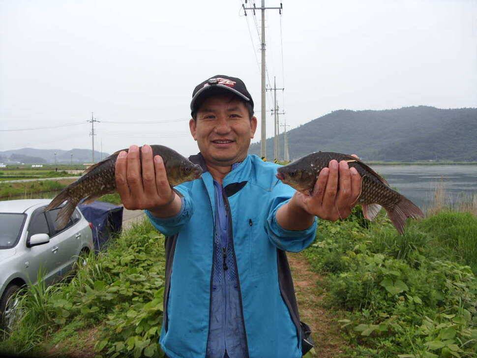 하룻밤낚시턱월 3수 (조황조행기 - 월척컵토종붕어챔피언십)