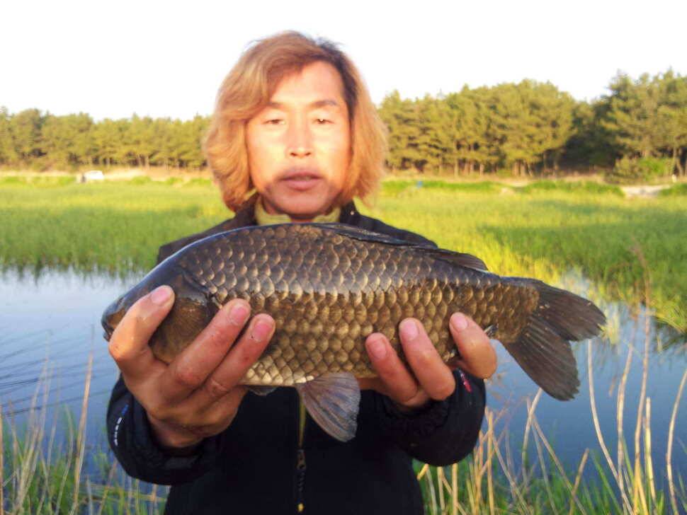 앞에 분은 5짜 (조황조행기 - 월척컵토종붕어챔피언십)