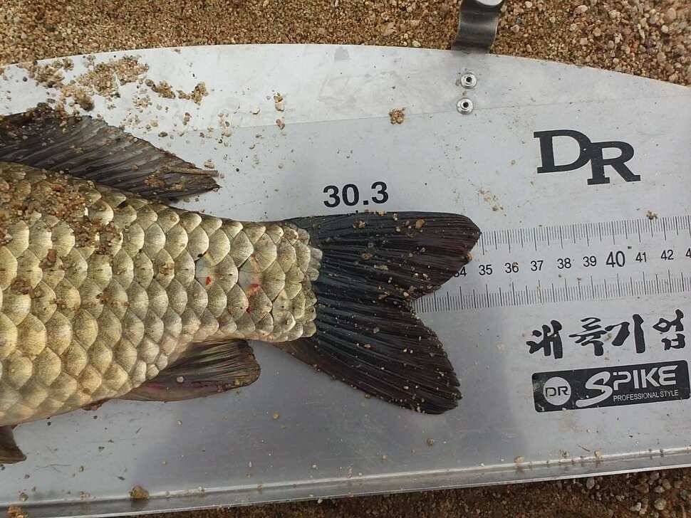 꾼의길월척 한수 했습니다 (조황조행기 - 월척컵토종붕어챔피언십)