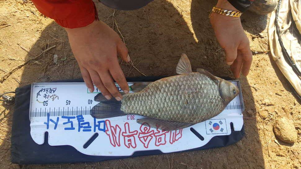 대물승부사 (조황조행기 - 월척컵토종붕어챔피언십)