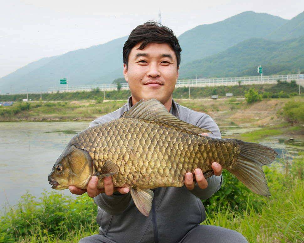549cm 붕어 (조황조행기 - 월척컵토종붕어챔피언십)